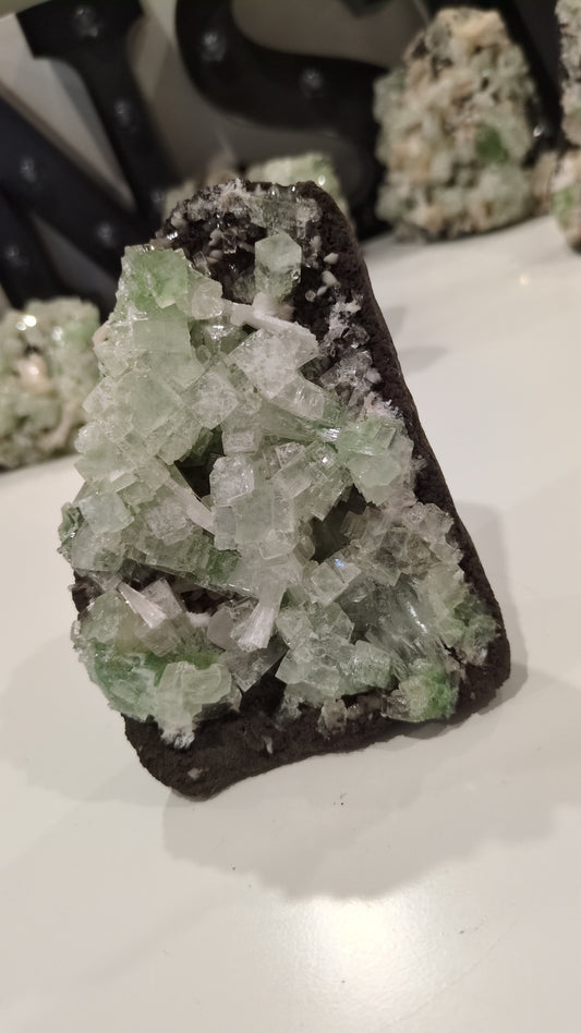 Green Disco Apophyllite ✨ D