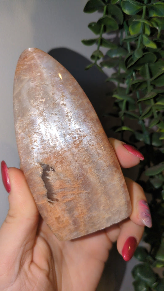 Peach moonstone freeform ✨