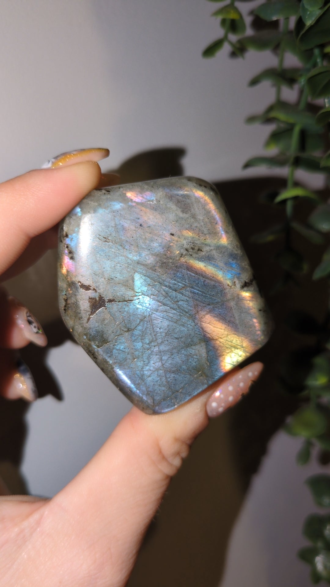 Labradorite freeform ✨ 18M