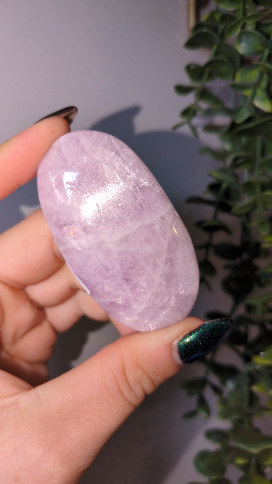 Kunzite palm ✨ A