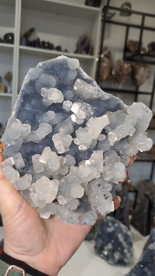 Apophyllite on blue chalcedony ✨ X