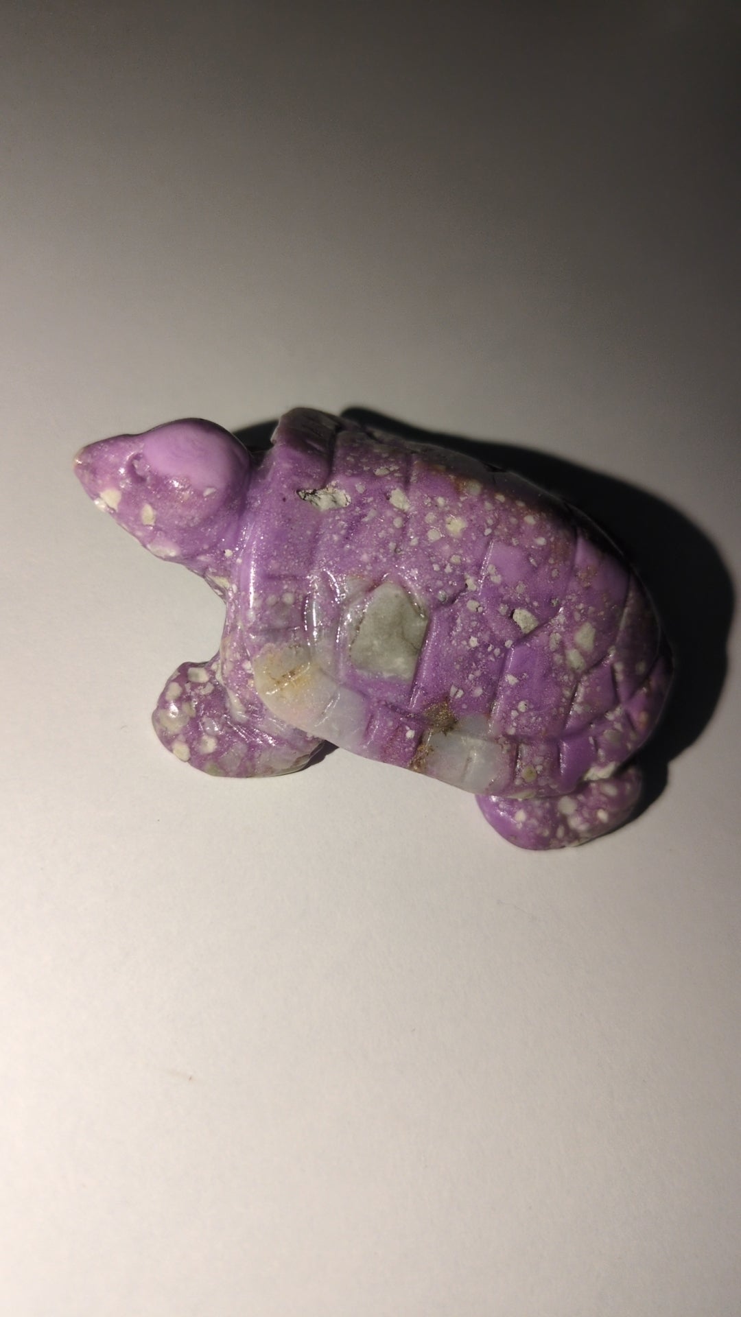 Phosphosiderite Tortoise 🐢