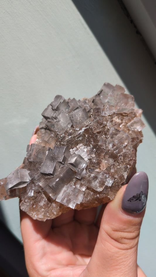 Clear Halite from Morocco (C) ✨