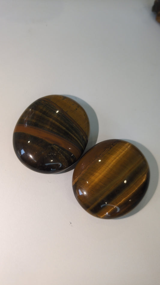 Tiger eye palms ✨