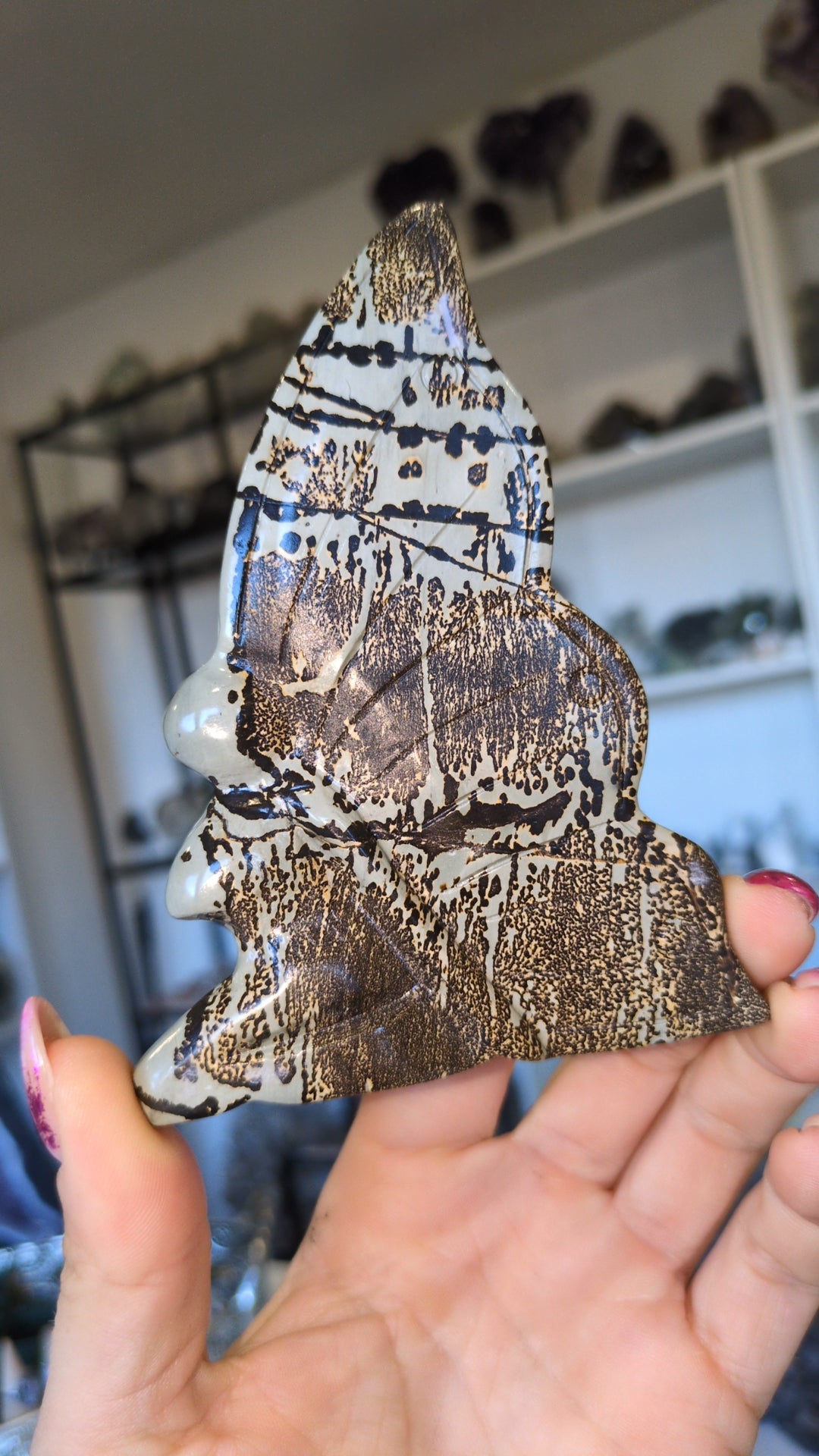 Picture Jasper Fiary. ✨