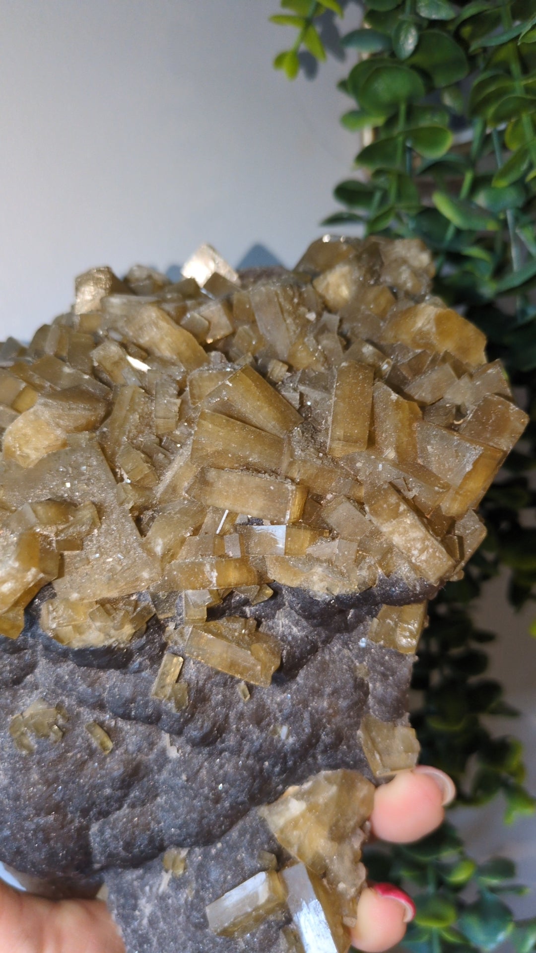 XL baryte & flourite ✨