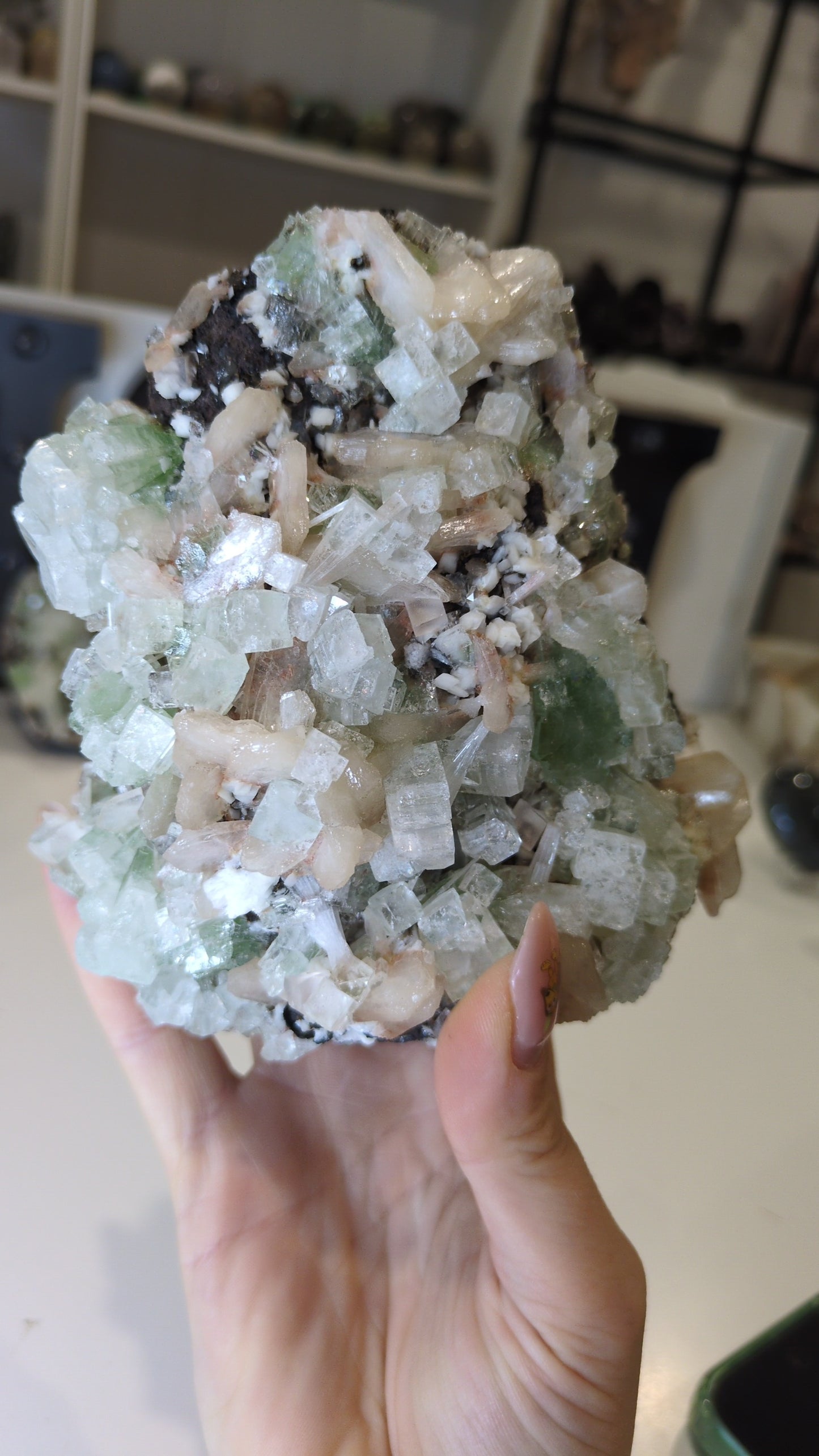 Green Disco Apophyllite ✨ G