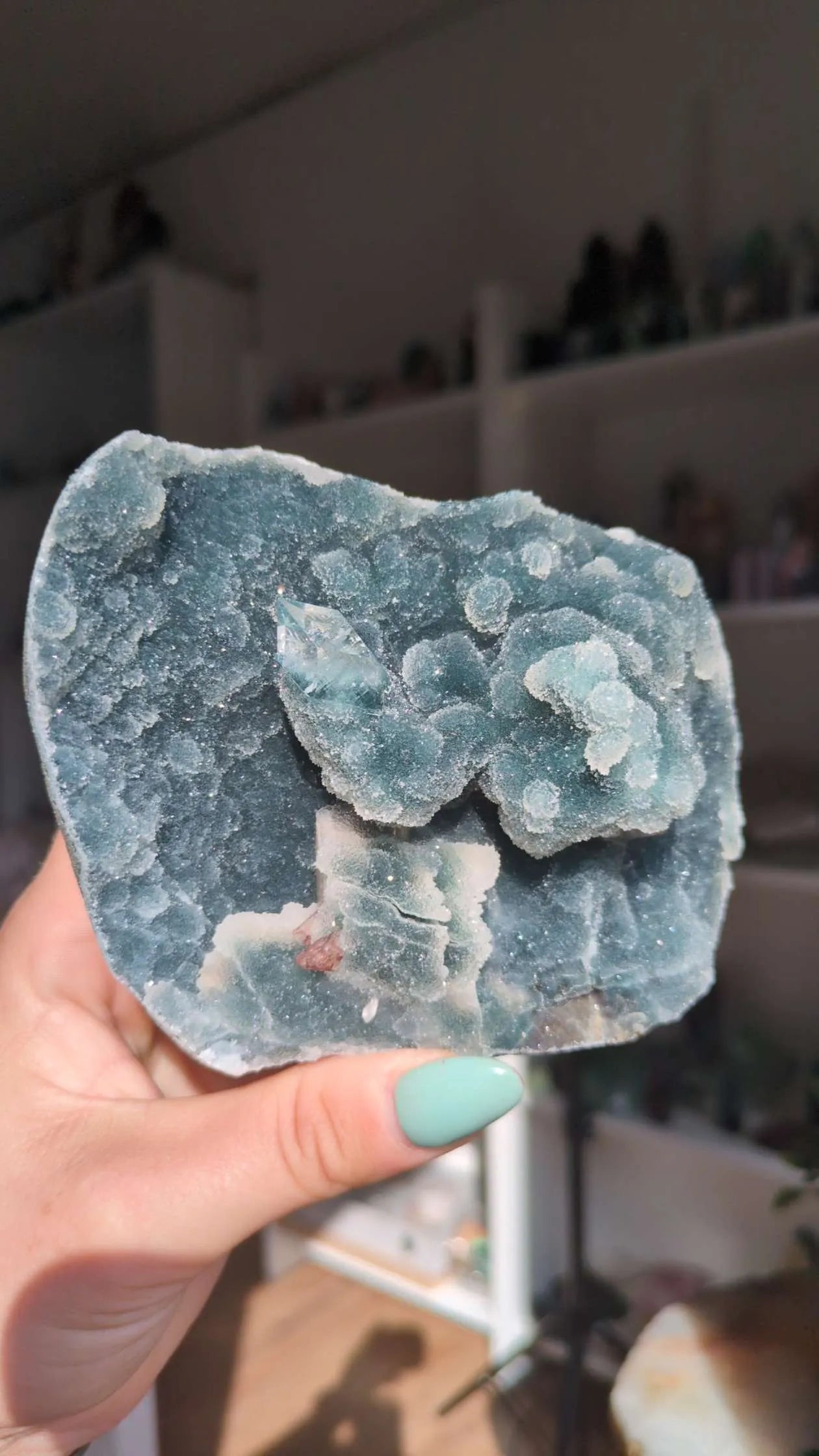 Apophyllite on Blue Chalcedony ✨ F