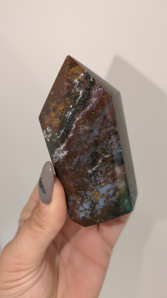 Jasper from Brazil ✨