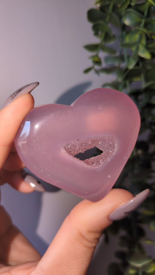 Jellyagate heart X ✨