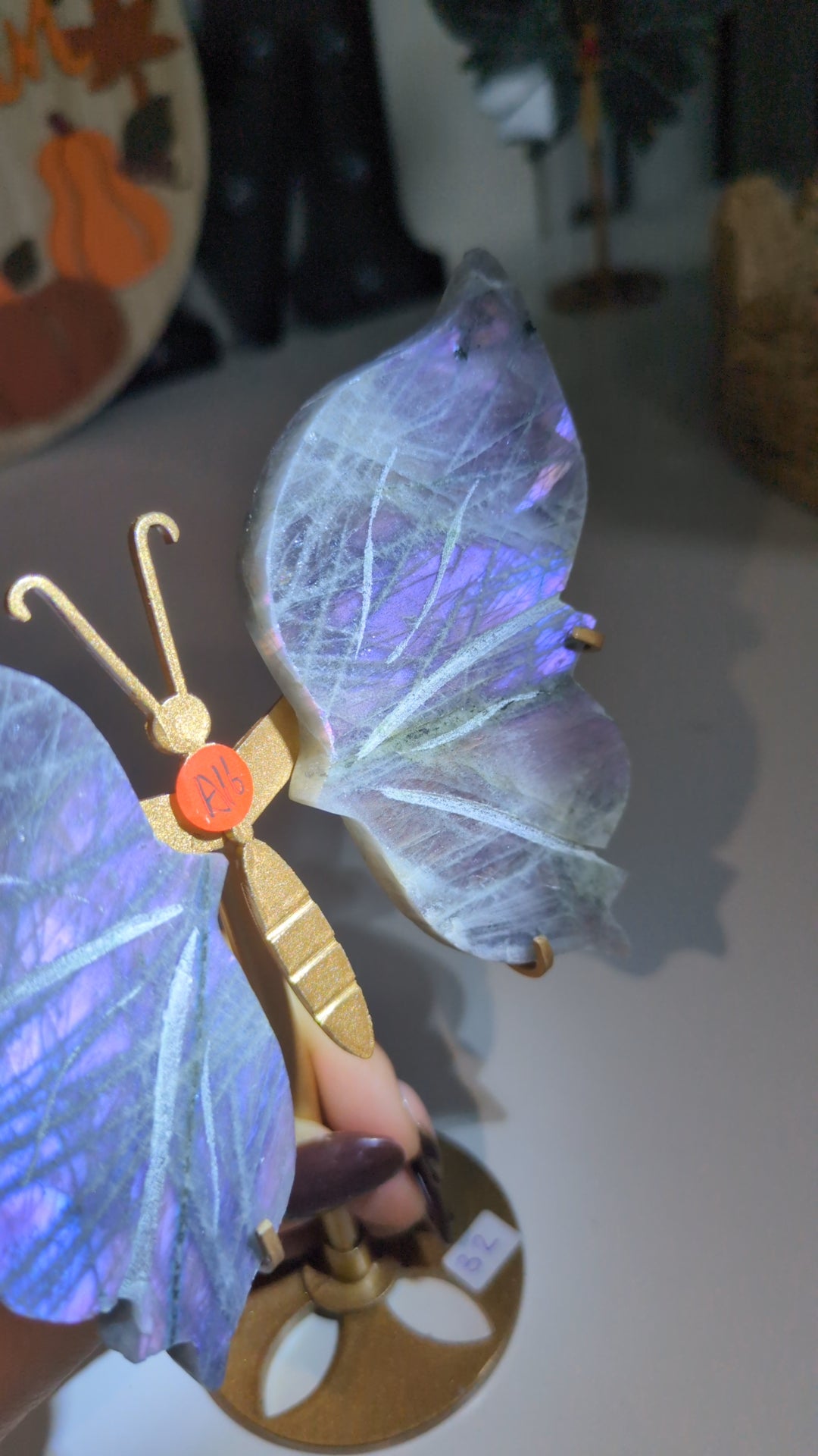 Labradorite wings ( set A16) ✨
