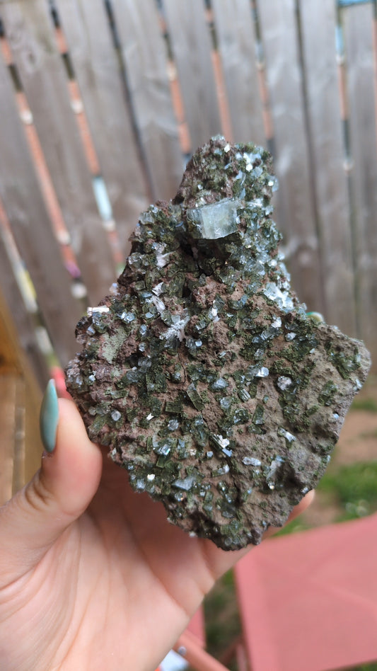 Forest Apophyllite ✨ G