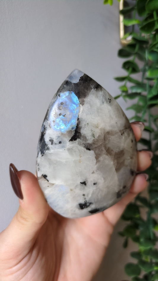 Rainbow moonstone teardrop ✨A