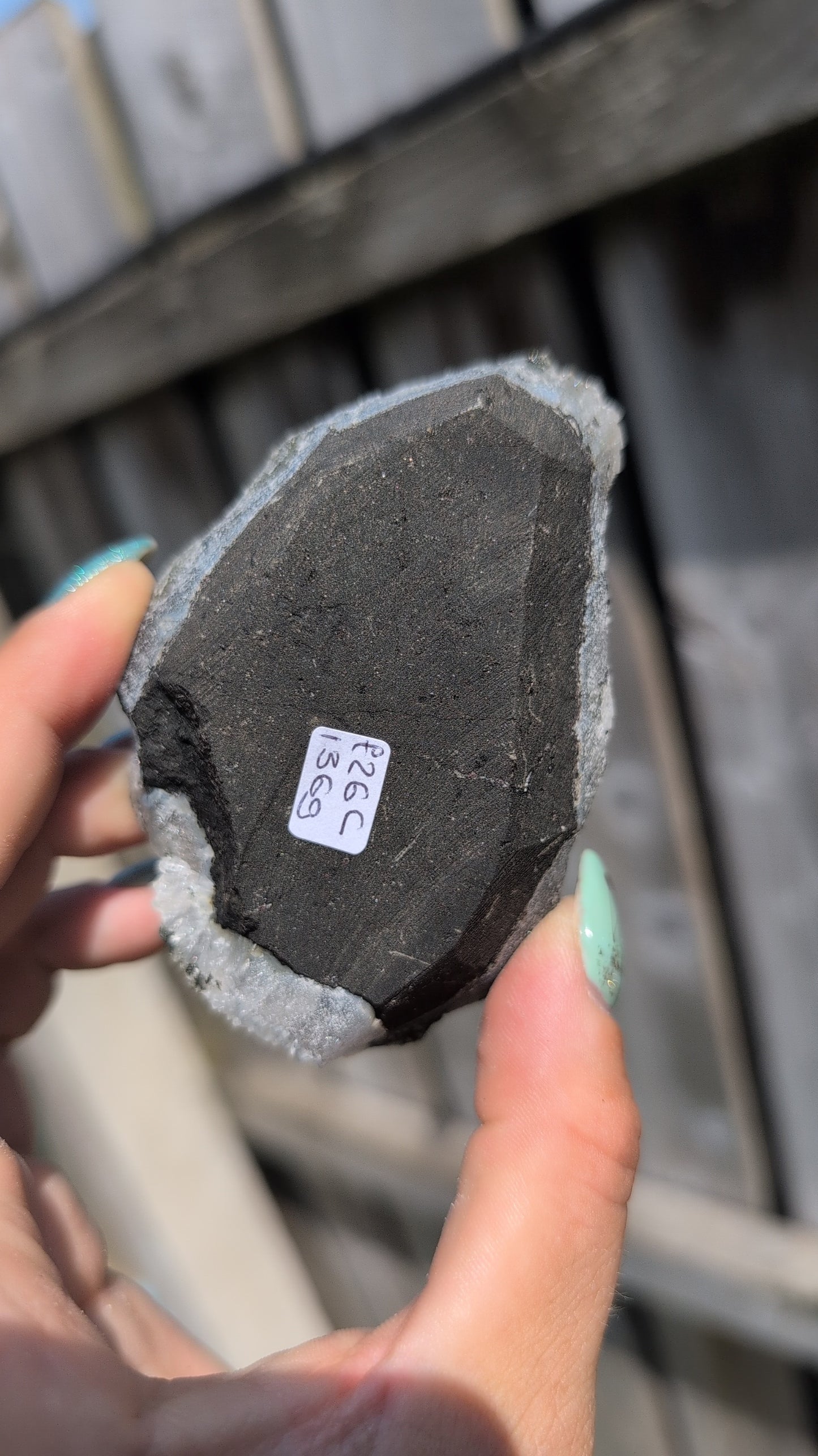 Black forest Apophyllite ✨C