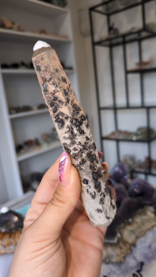 Speculurite on quartz ✨