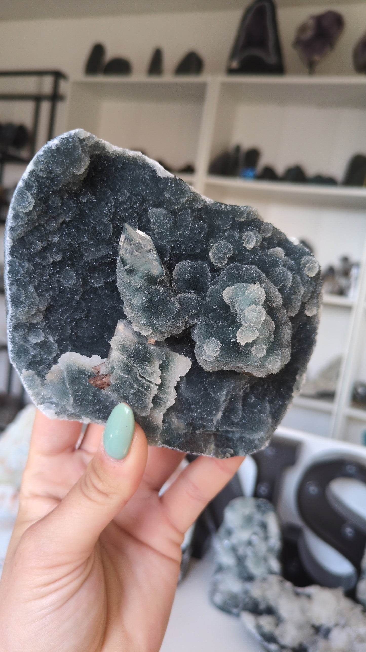 Apophyllite on Blue Chalcedony ✨ F