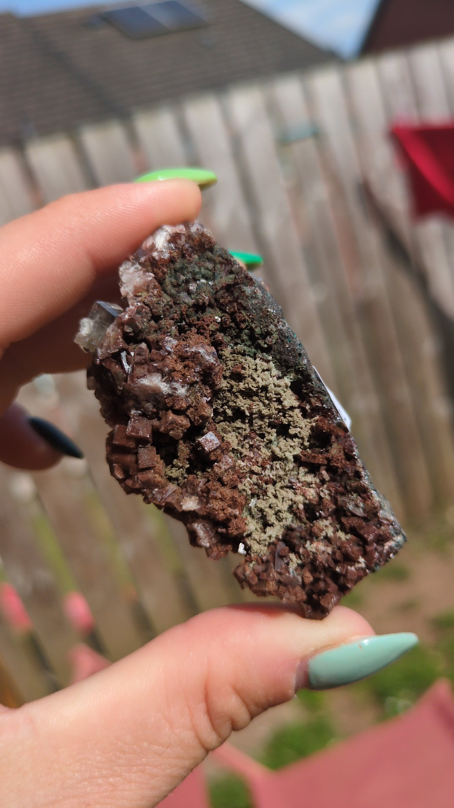 Forest Apophyllite ✨ U