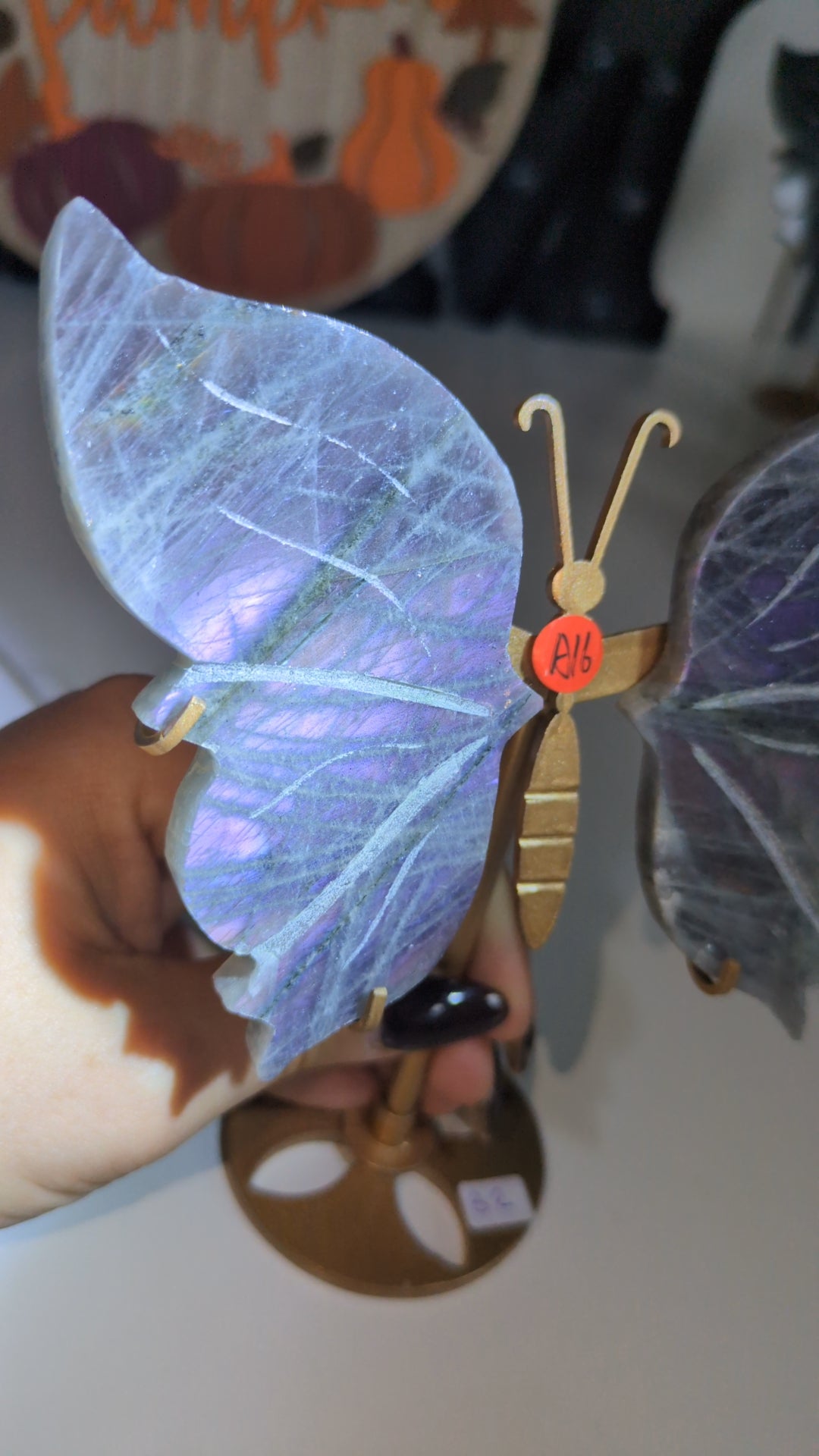Labradorite wings ( set A16) ✨