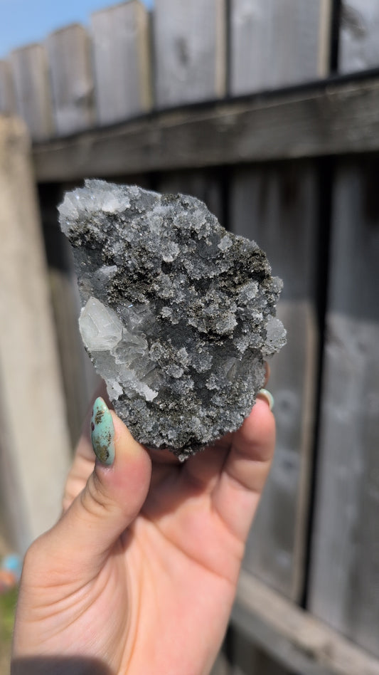 Black forest Apophyllite ✨C