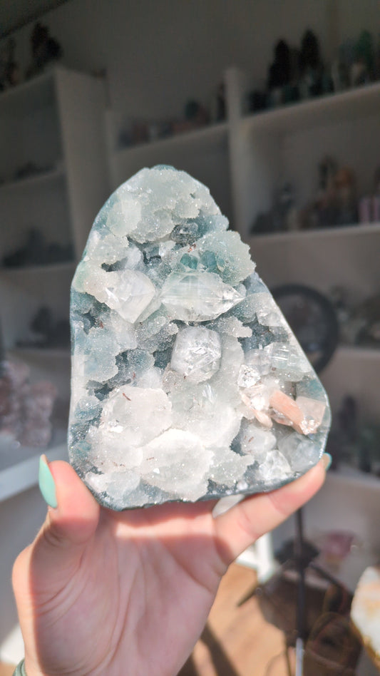 Apophyllite on Blue Chalcedony ✨ C