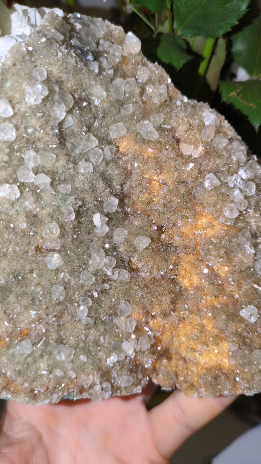 Calcite specimen from India ✨ P