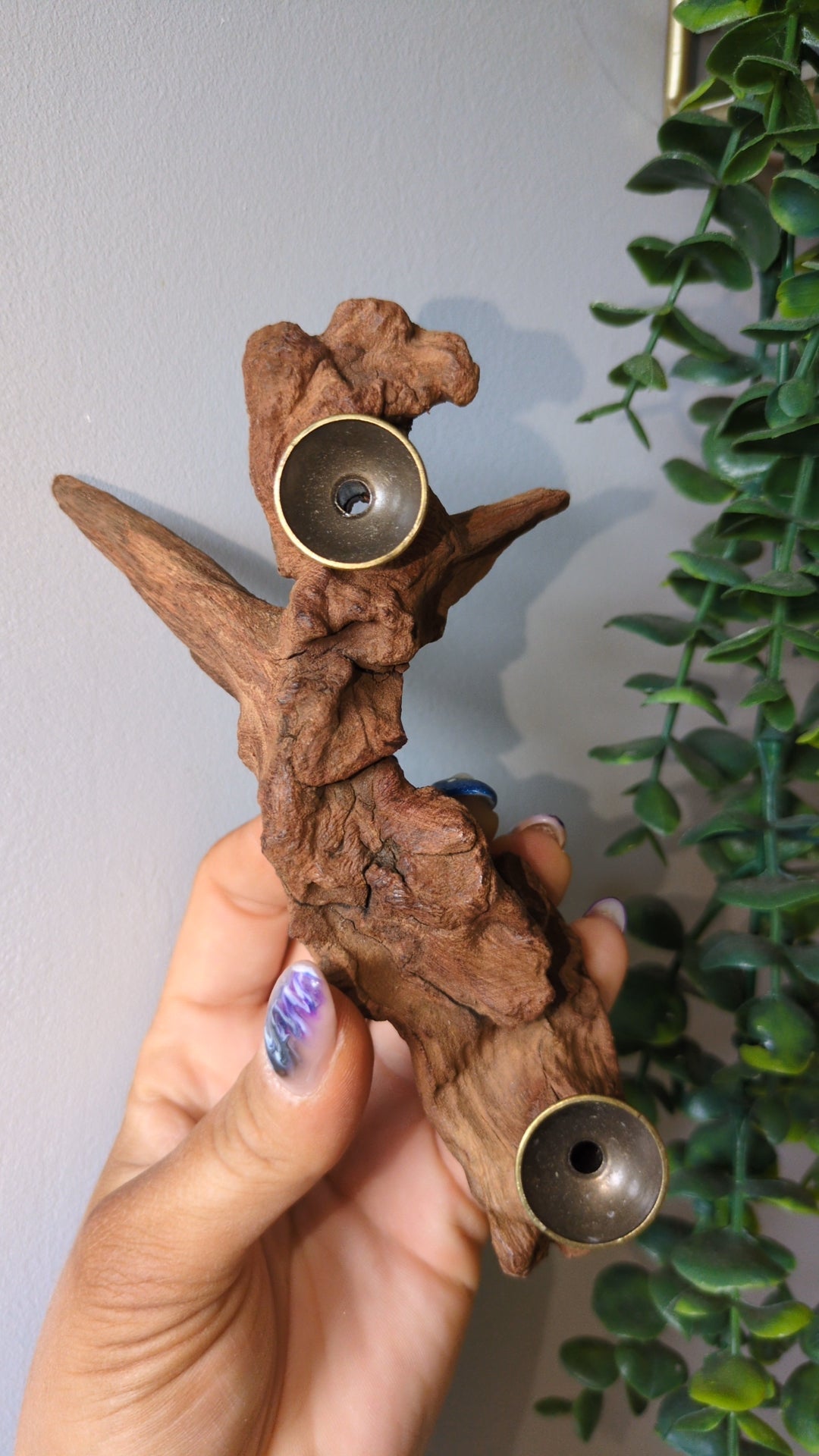 Two sphere holder on driftwood ✨
