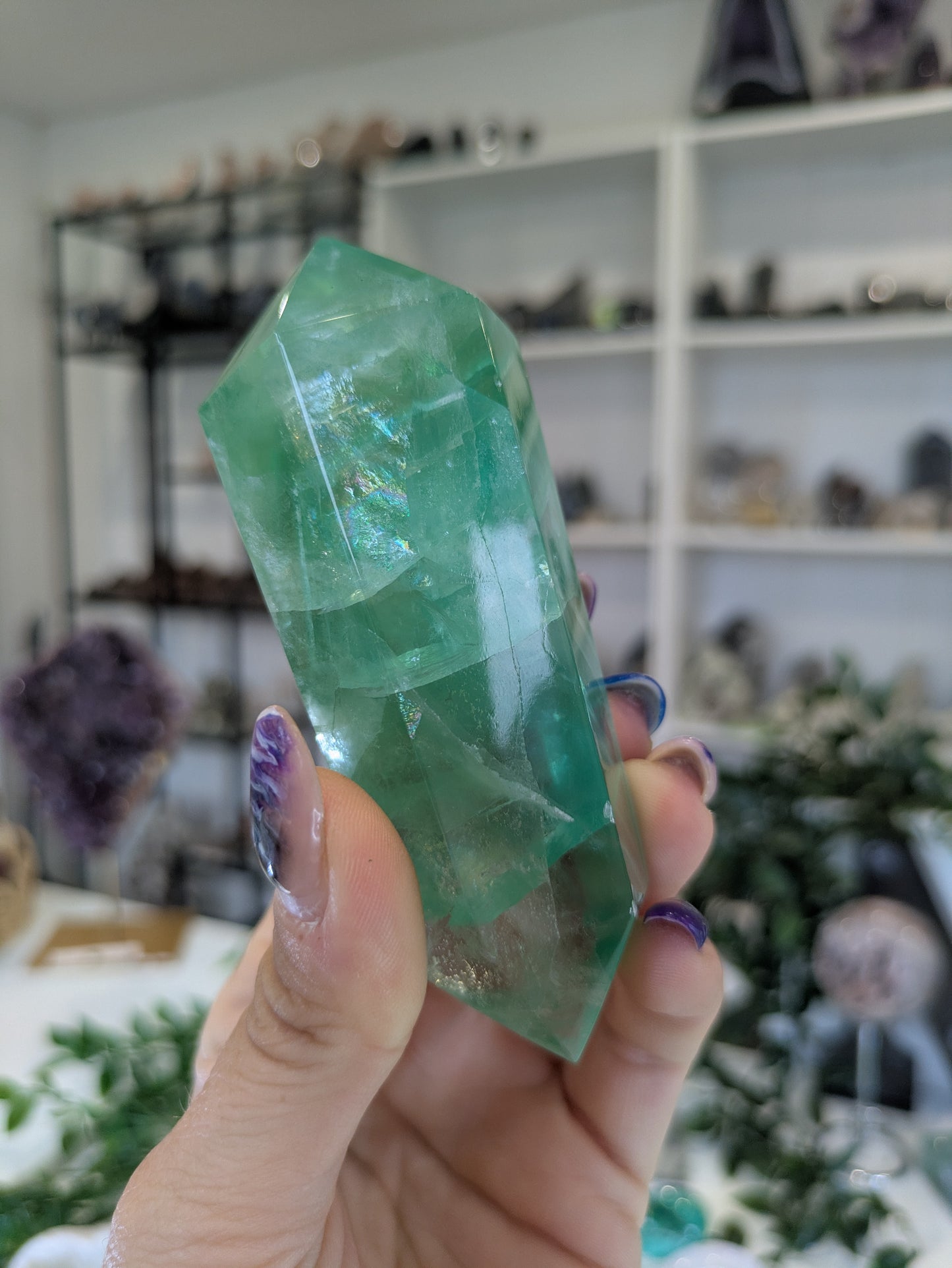 Flourite DT on gold stand ✨
