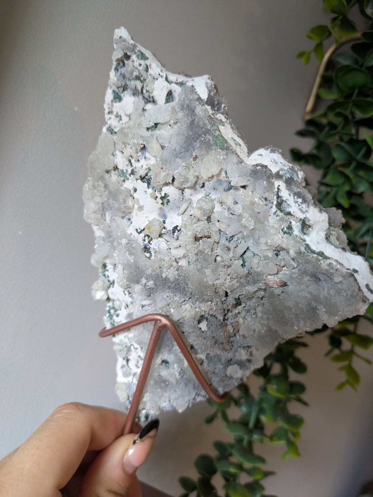 Zeolite On stand ✨ A