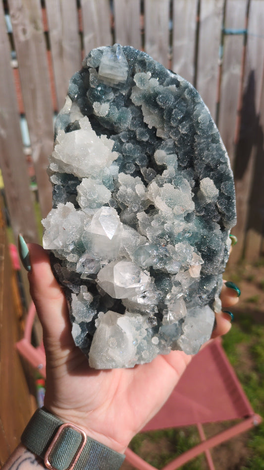 Apophyllite on Blue Chalcedony ✨ L