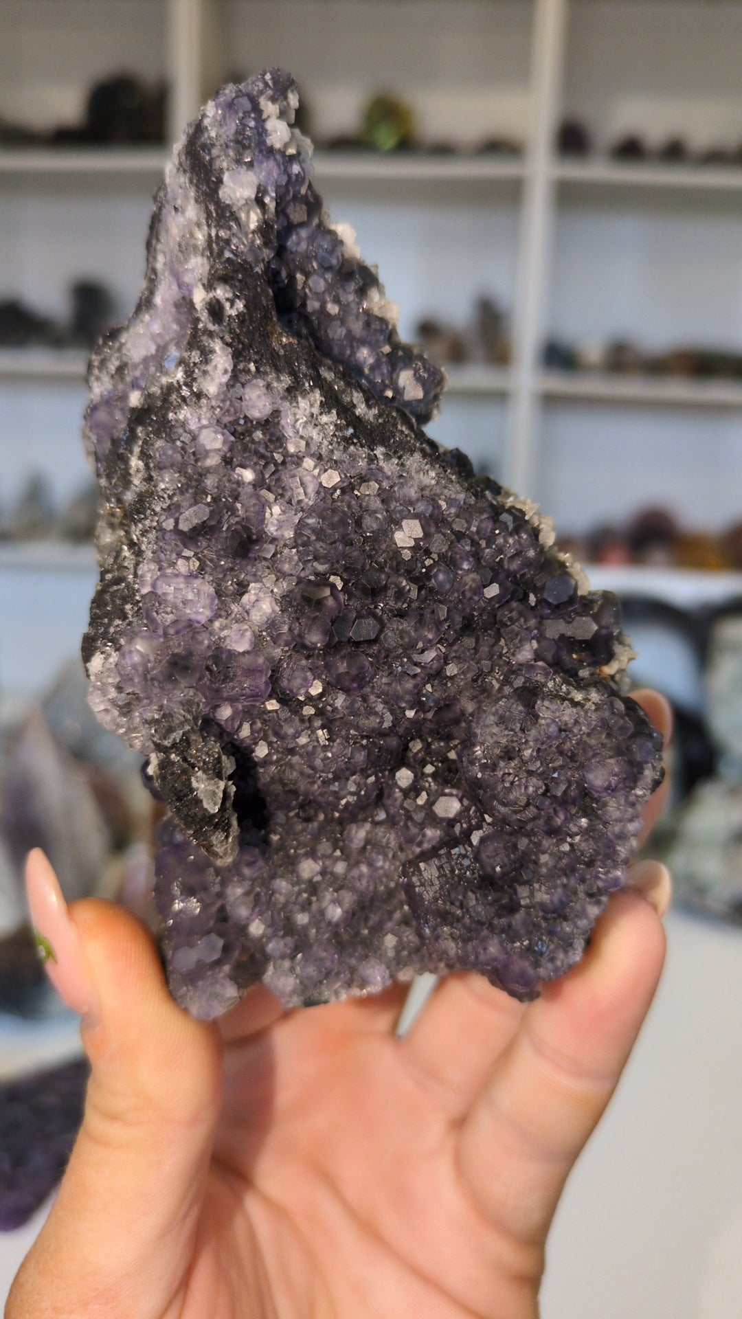 Purple& blue flourite specimen ✨