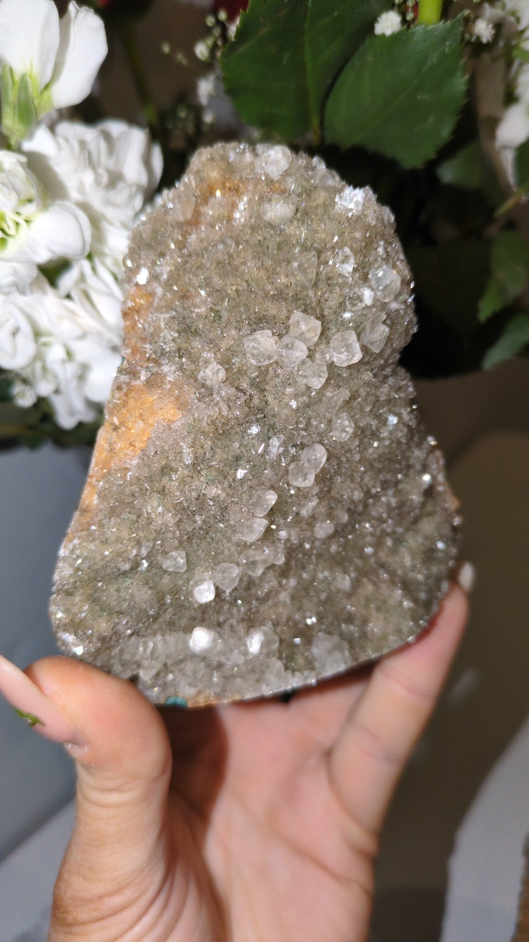 Calcite specimen from India ✨ F
