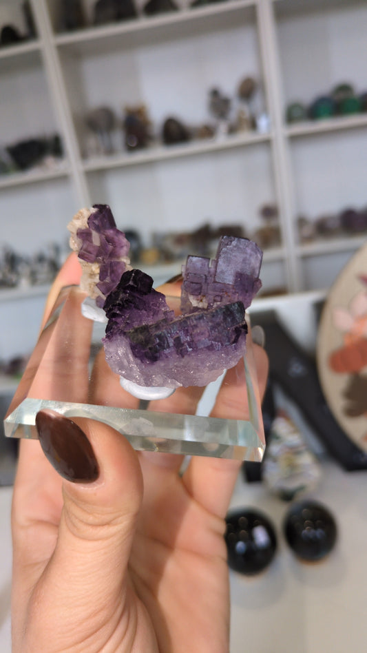 Raw flourite ✨
