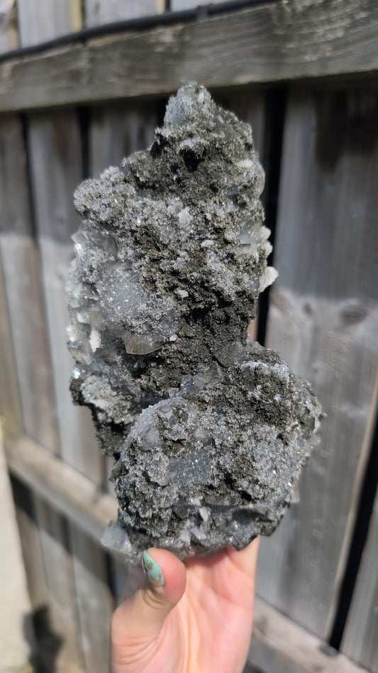 Black forest Apophyllite ✨ T