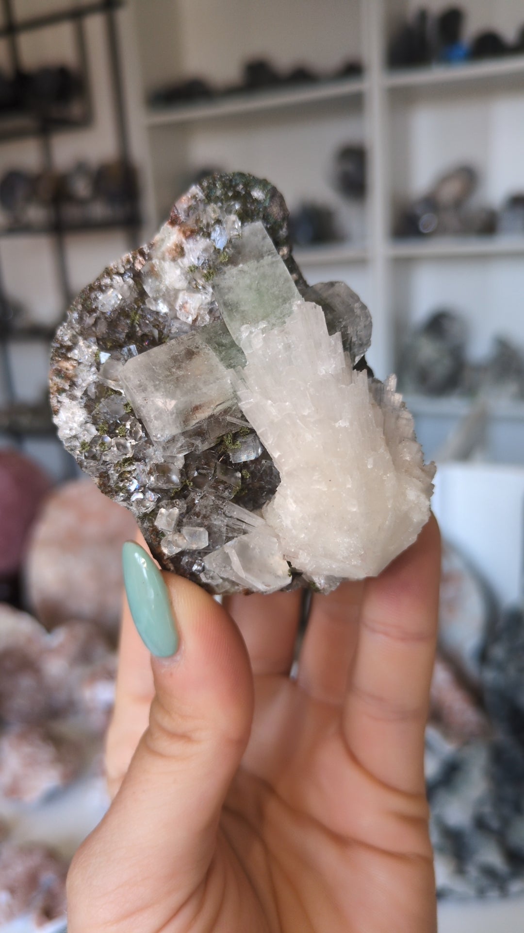 Forest Apophyllite ✨