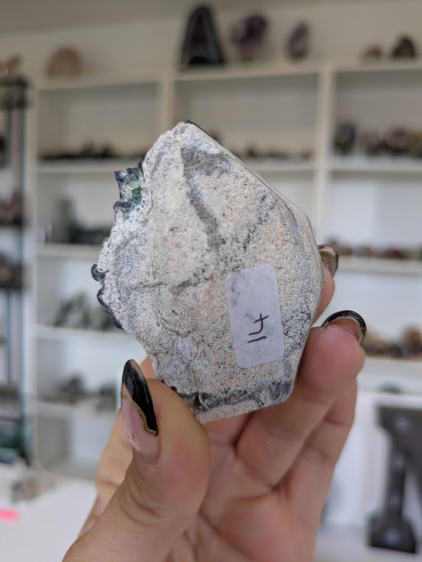 Small blueberry flourite specimen ✨