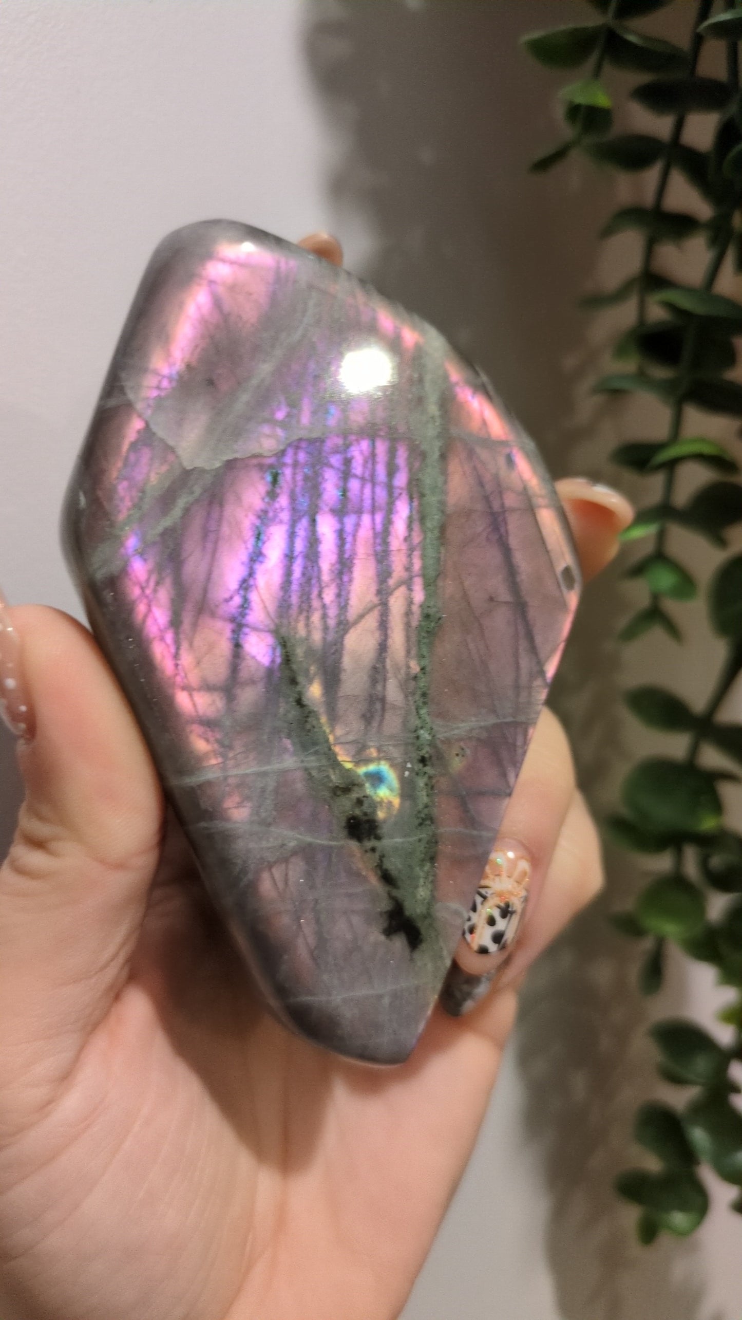 Pink and purple lab freeform ✨