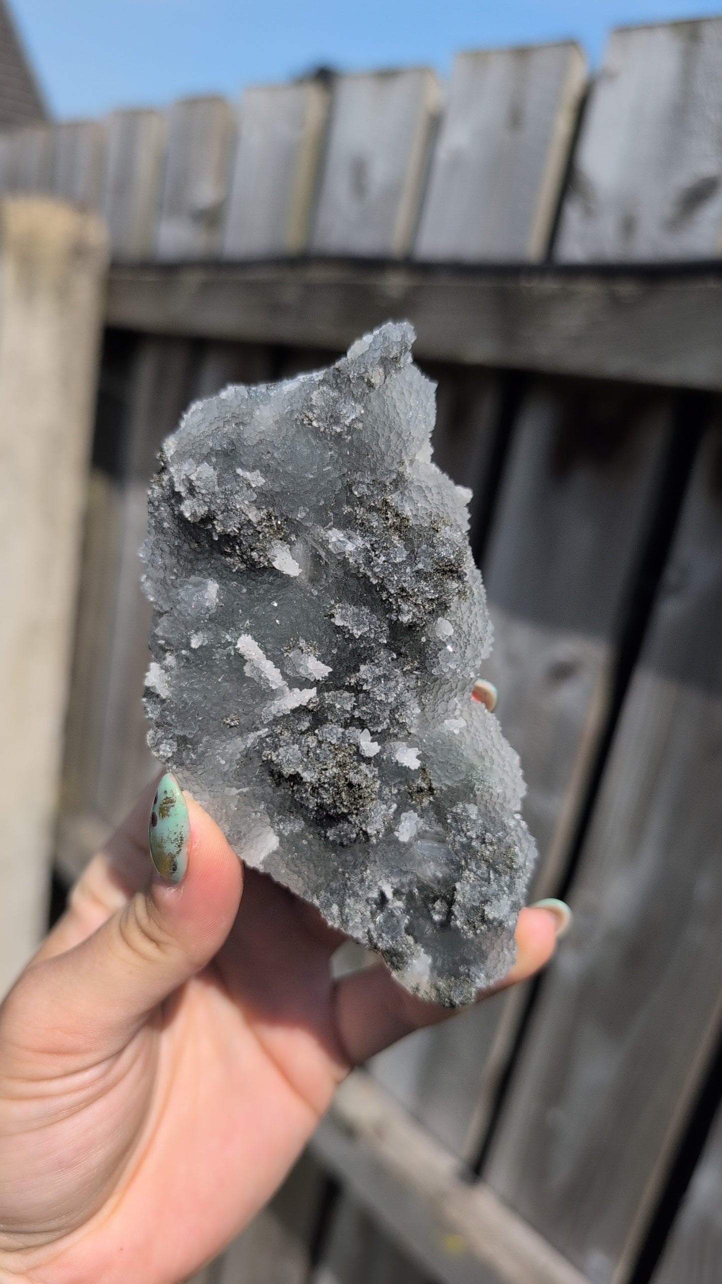 Black forest Apophyllite ✨ Q