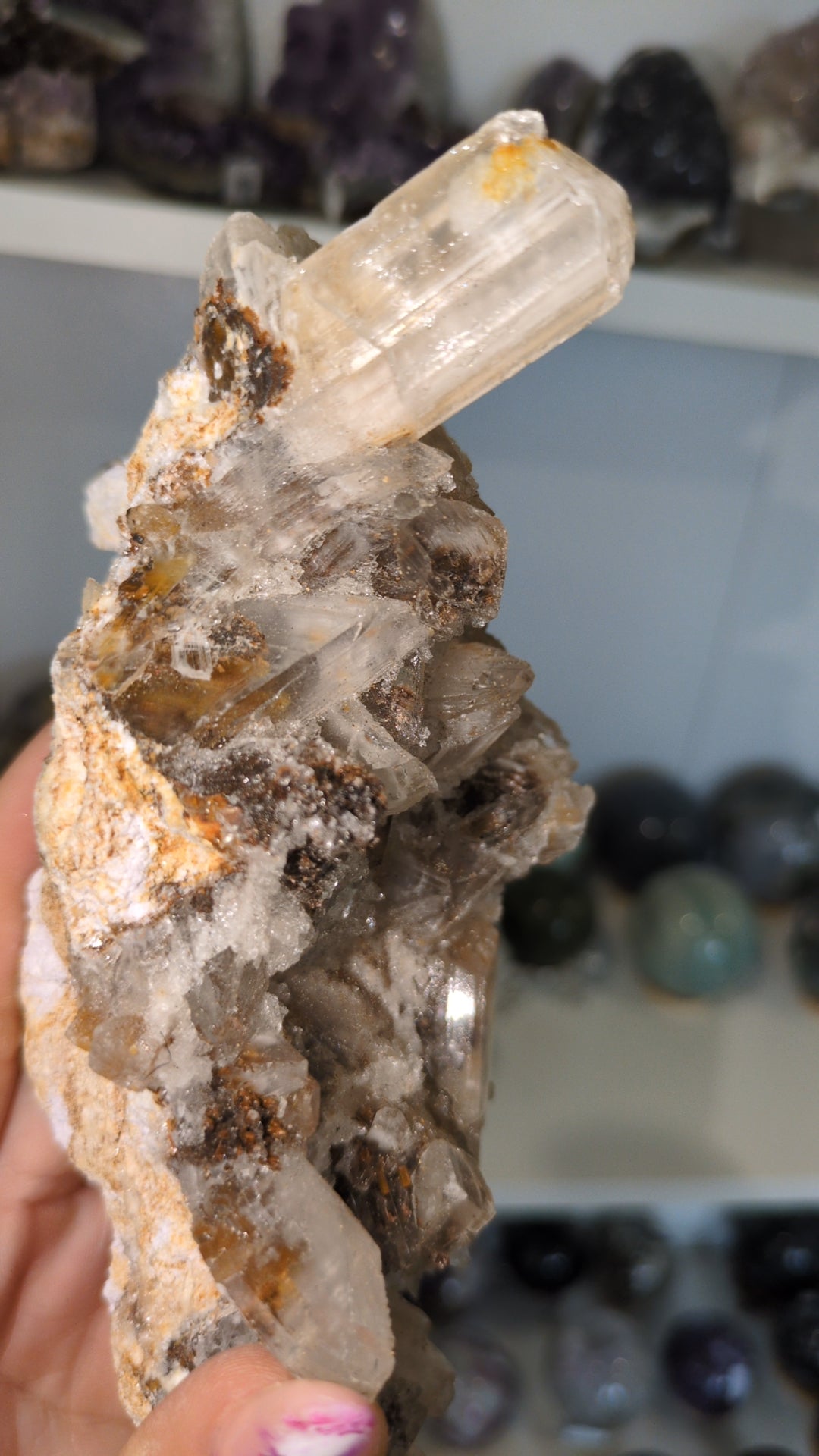 'Tiger teeth ' Selenite ✨