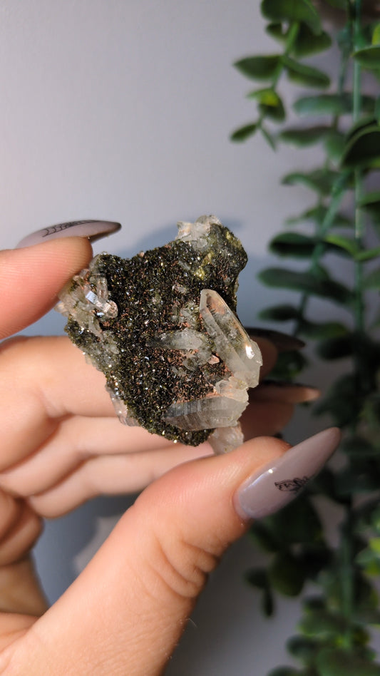 Epidote& quartz specimen B ✨
