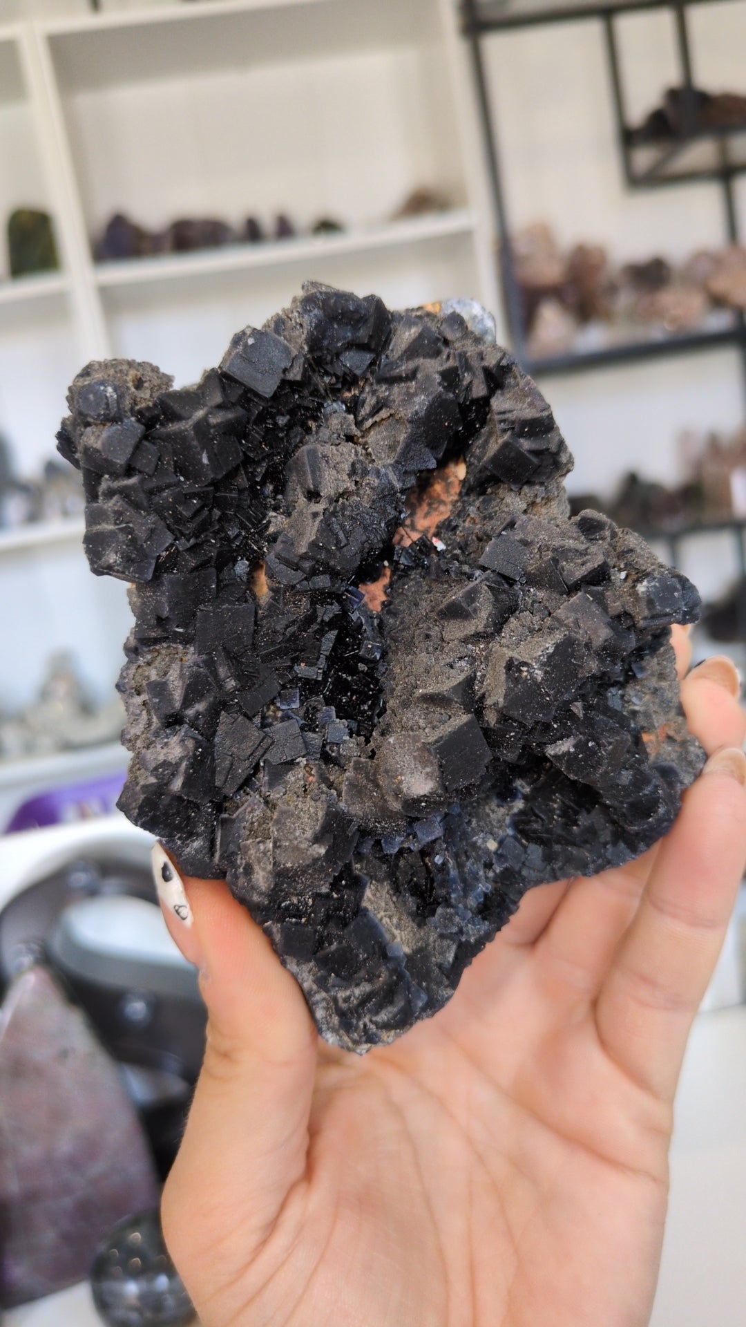 Black rose flourite ✨ A