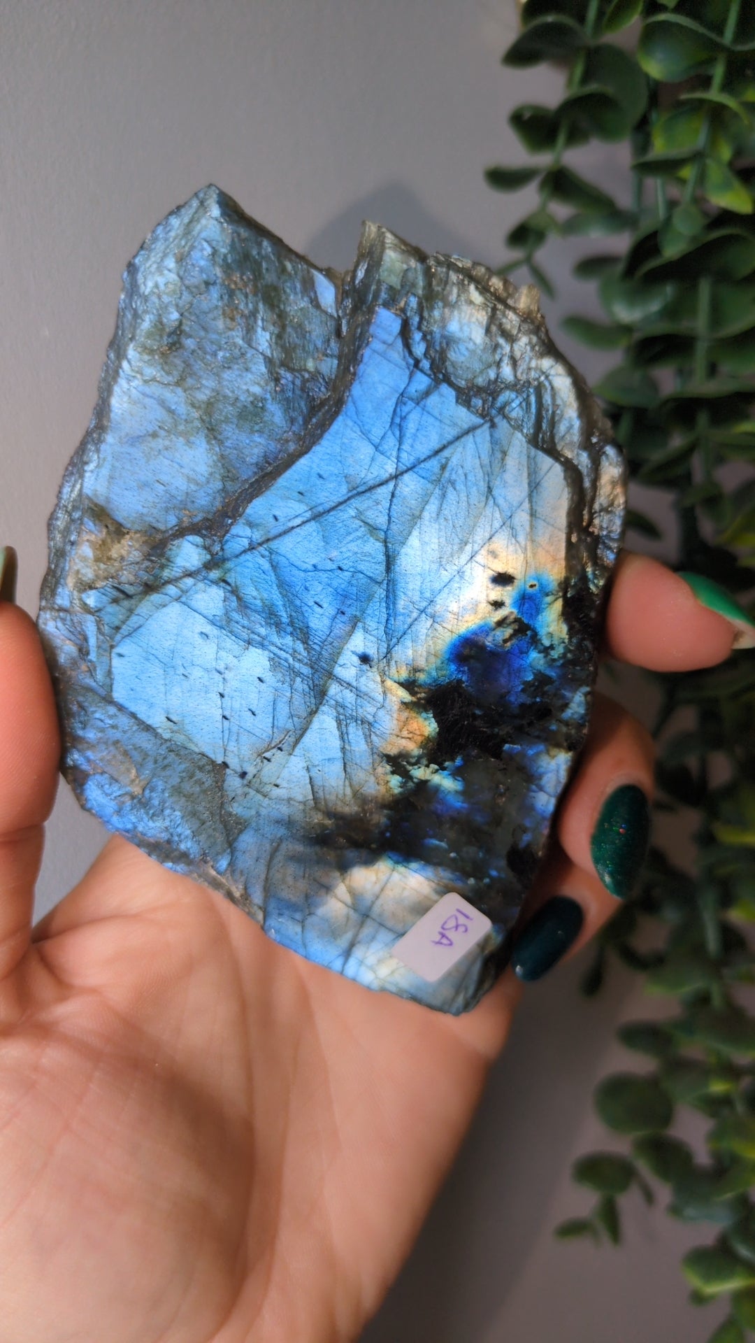 Blue metallic labradorite slab ✨ A