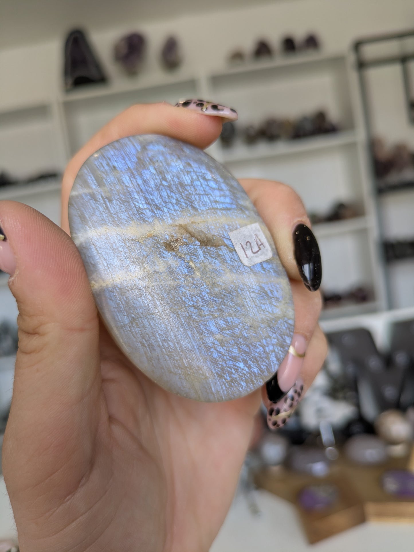 Moonstone palm ✨