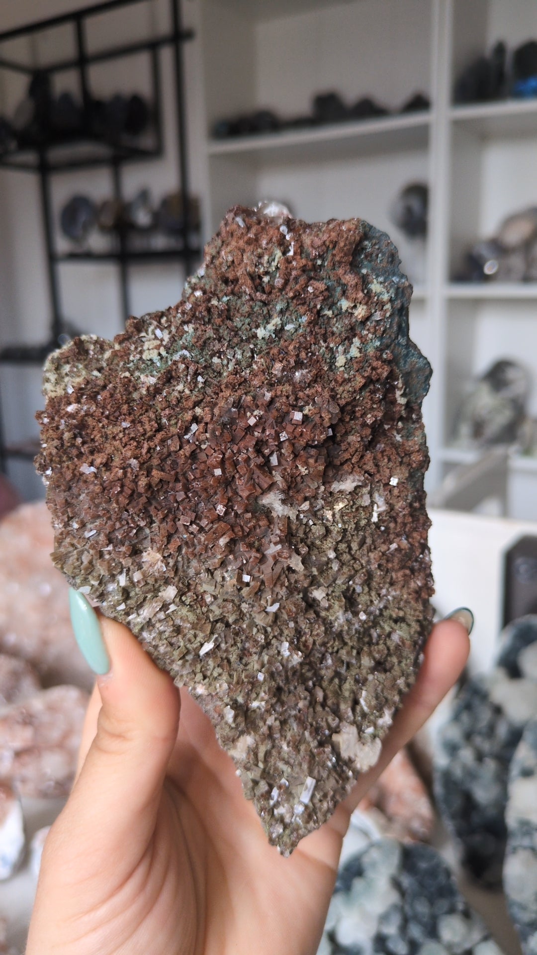 Forest Apophyllite ✨ C