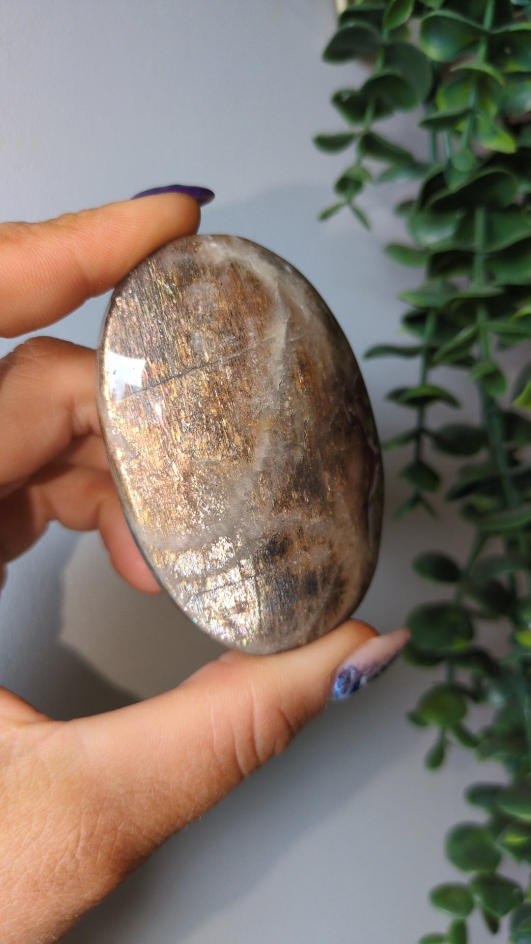 XL moonstone and lattice sunstone palm ✨