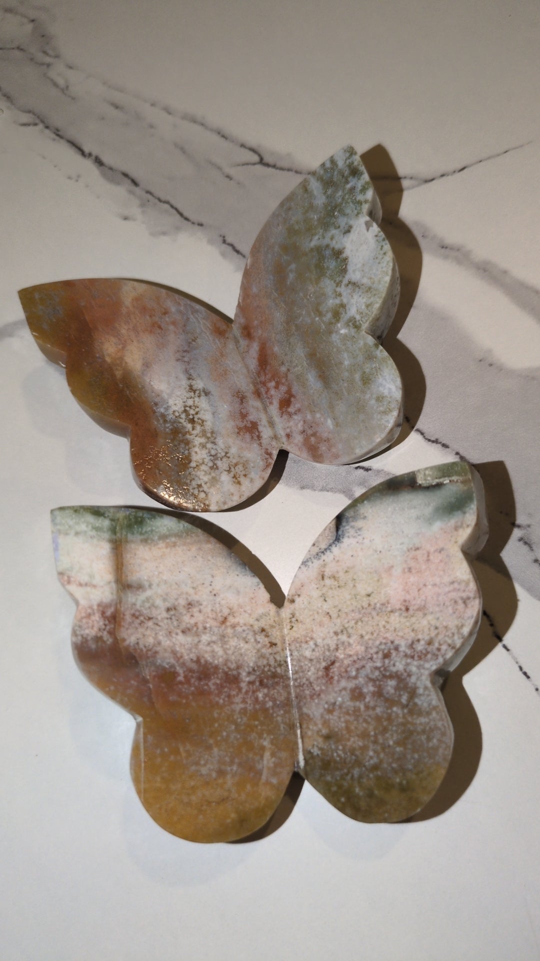 Sea jasper butterfly 🦋