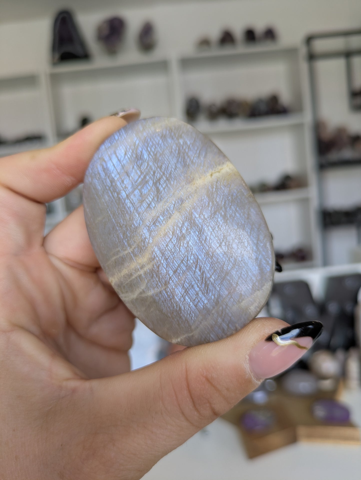 Moonstone palm ✨