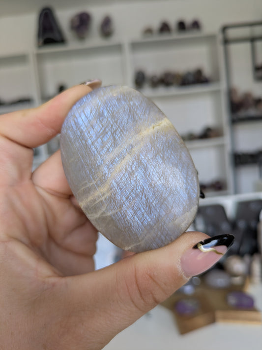 Moonstone palm ✨