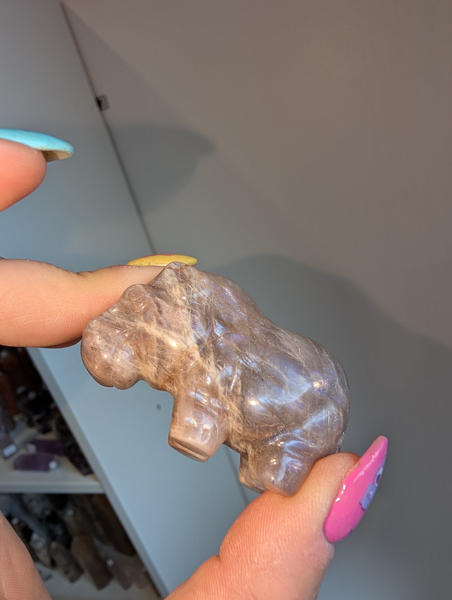 Sunstone, moonstone hippo 🦛