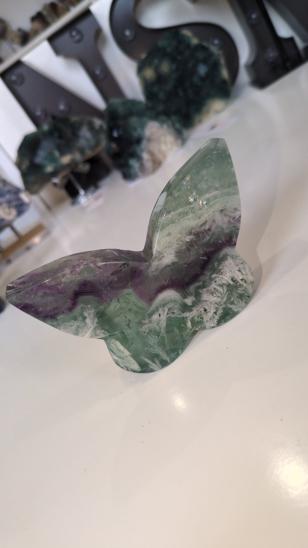 Feather flourite butterfly 🦋
