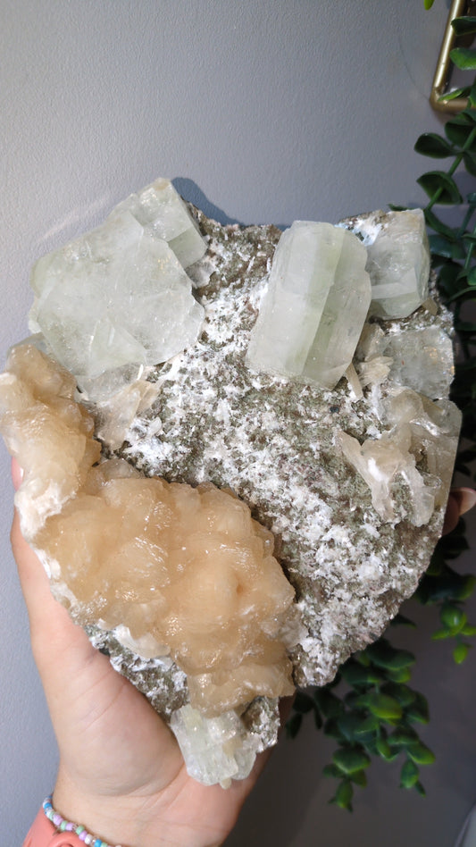 Scolecite Apophyllite ✨